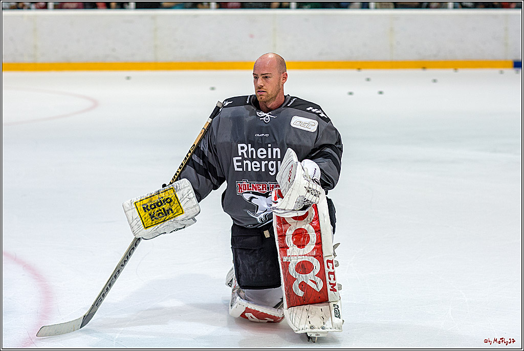 1. offizielles Training der Koelner Haie, 05.08.2018